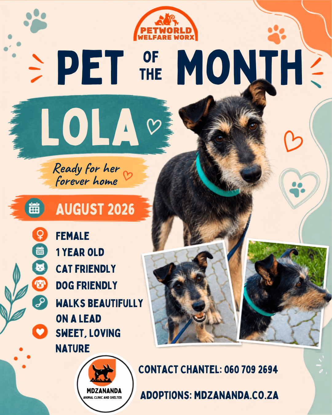 Lola Is Ready to Belong