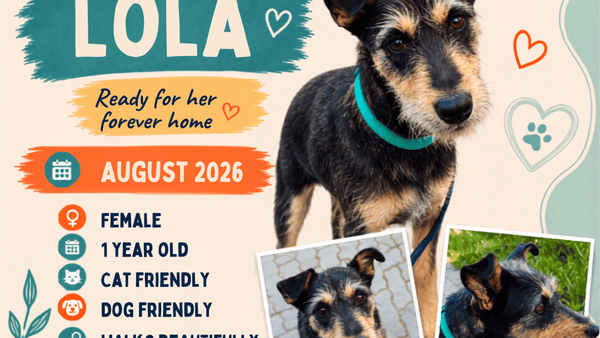 Lola Is Ready to Belong