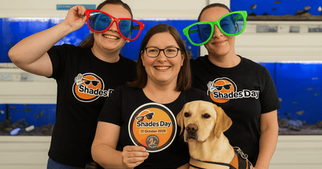 Two Petworld employees in Shades Day tees wear giant sunglasses along with a lady in a wheelchair with her mobility dog.