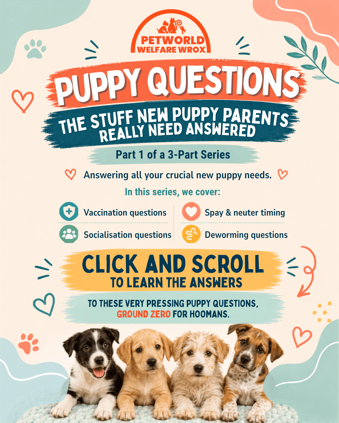 NEW PUPPY? START HERE.