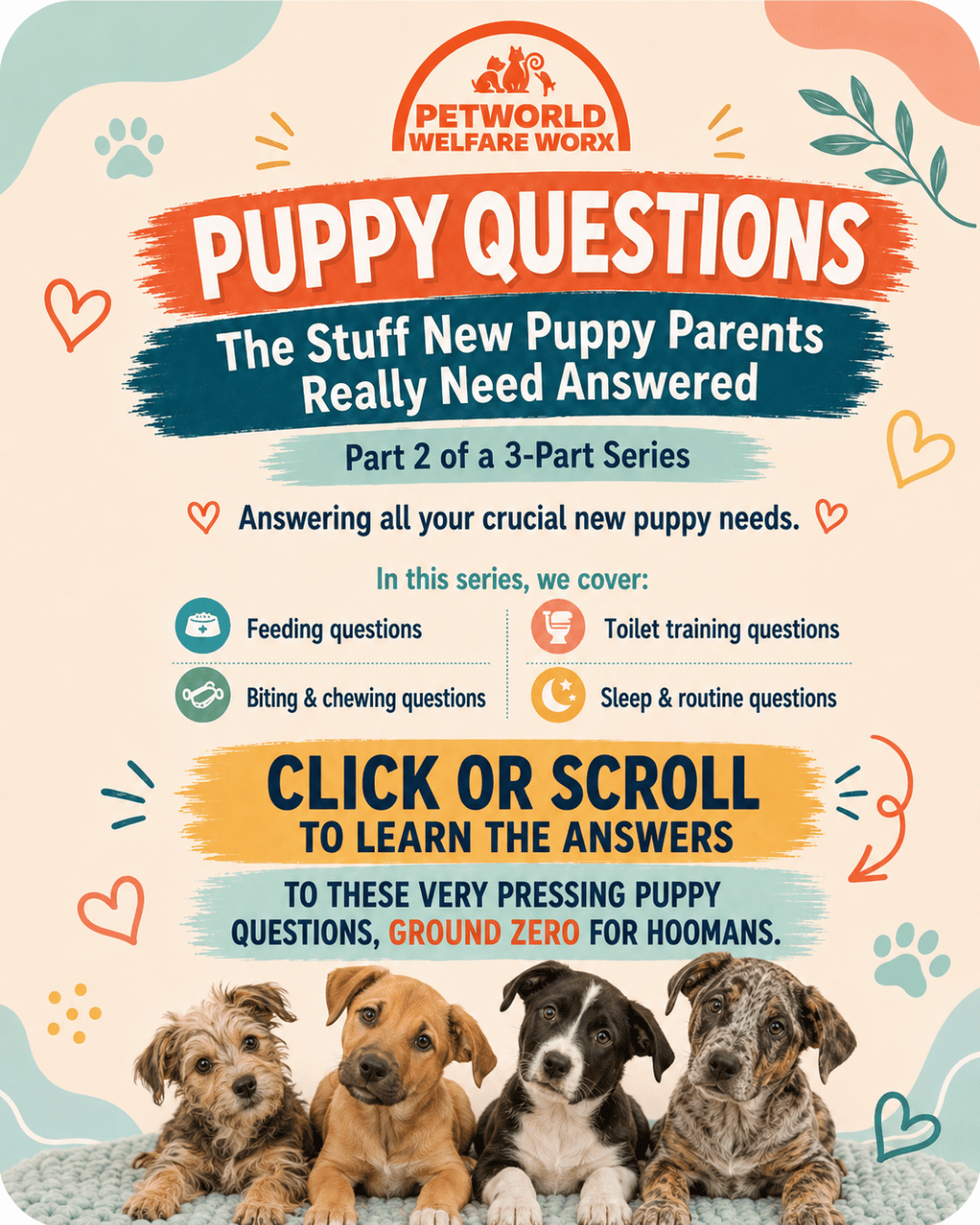 NEW PUPPY? CONTINUE HERE.