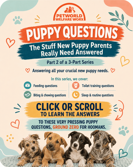 NEW PUPPY? CONTINUE HERE.