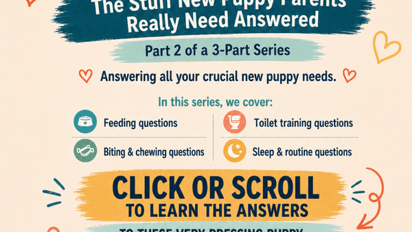 NEW PUPPY? CONTINUE HERE.