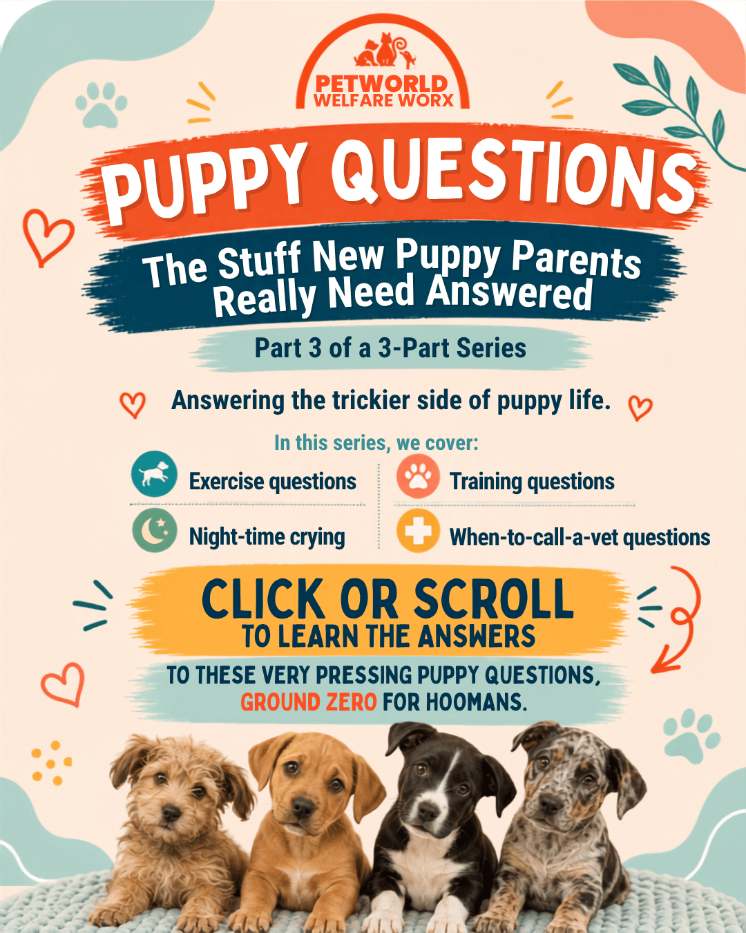 NEW PUPPY? PART THREE