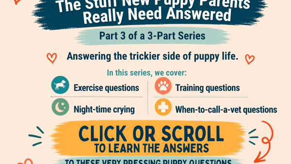 NEW PUPPY? PART THREE