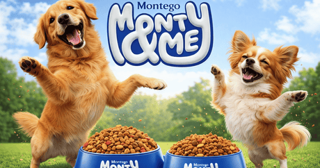 Two excited dogs jump around their full bowls of Monty & Me Essential Chicken and Beef flavours.