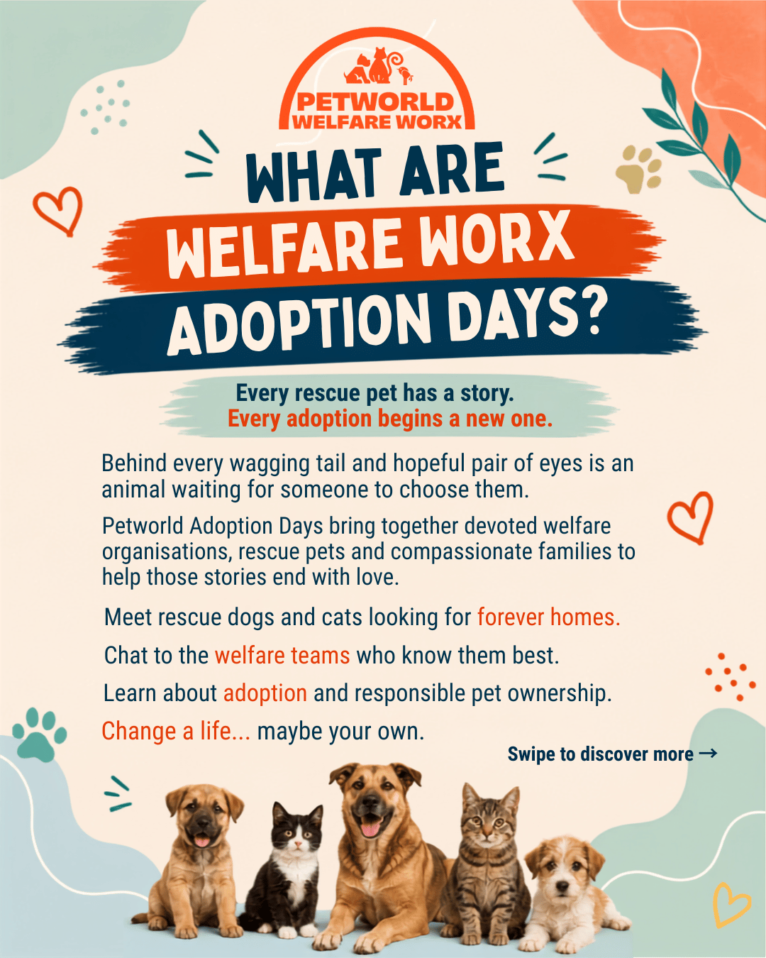 What Are Welfare Worx Adoption Days?