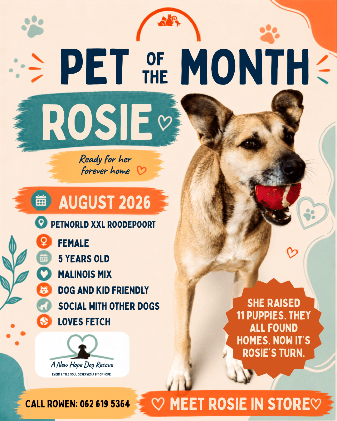 She Found Homes for All 11 of Her Puppies. Now It’s Rosie’s Turn.