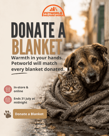 Petworld's Annual Mandela Day Blanket  Drive