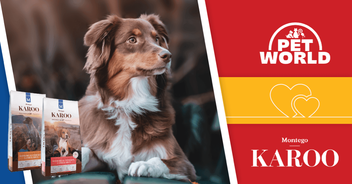 Unlocking the Secrets of Montego Karoo Dog Food: South Africa's Premium Choice for Canine Nutrition - Petworld