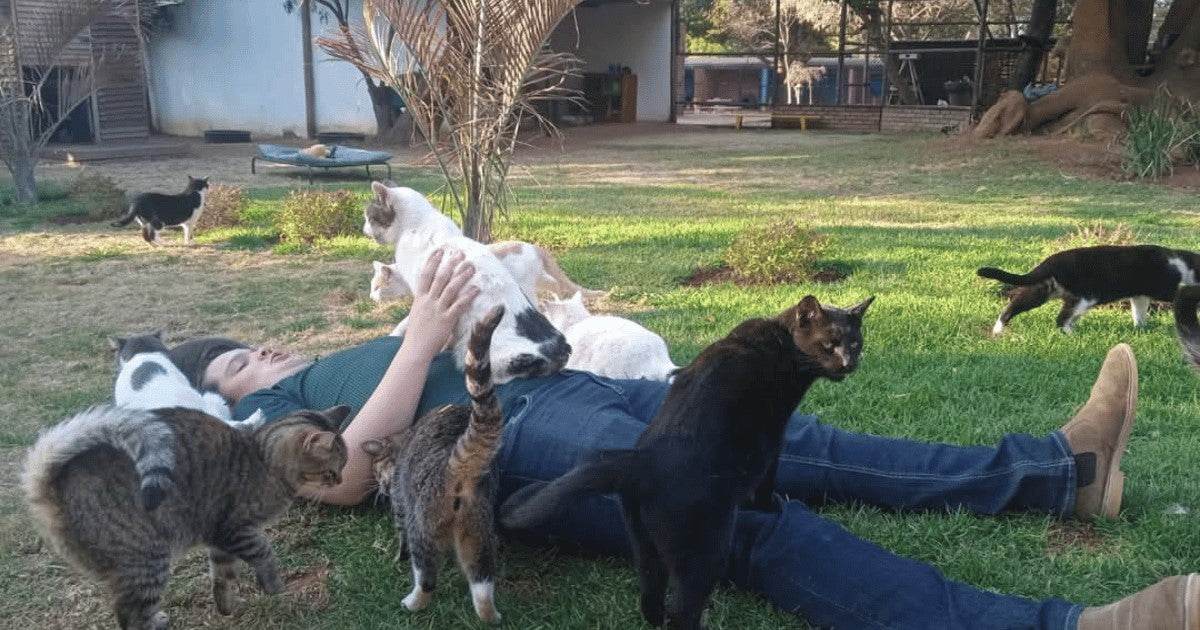 Cast Aways Animal Sanctuary: Rescuing Randfontein’s Forgotten Pets with Love and Purpose - Petworld