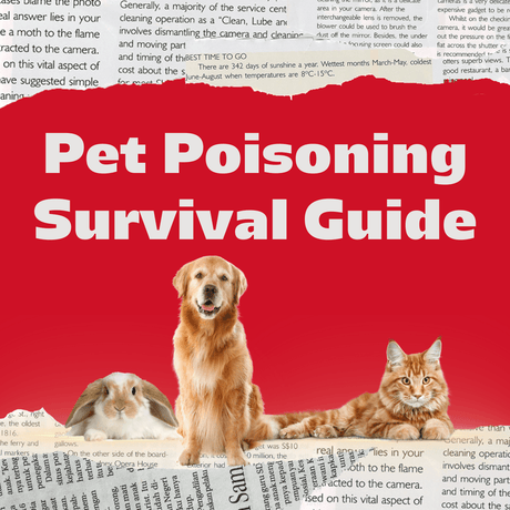 The Ultimate Pet Poisoning Survival Guide: How to Keep Your Dog, Cat, and Bunny from Their Own Bad Decisions! - Petworld