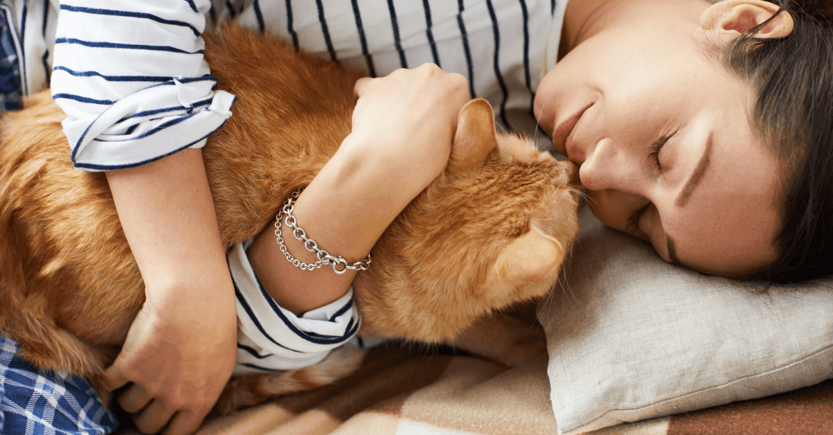 How Your Cat Can Improve Your Mental and Physical Health: Science Explains - Petworld