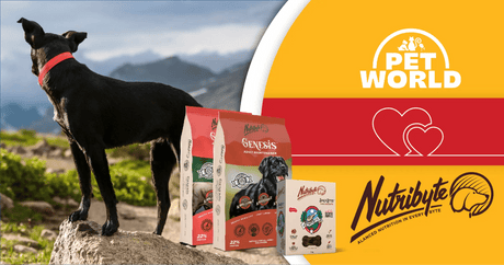 Petworld & Nutribyte Join Forces in Canine Care Partnership - Petworld