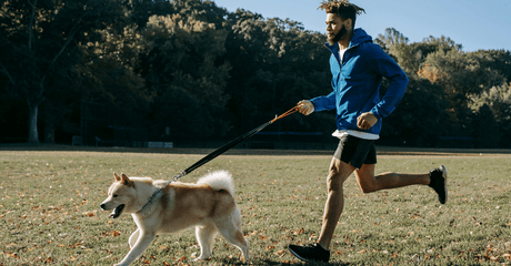 The Best Dog Food for Active Dogs: Top Picks for Puppies, Adult, and Senior Dogs in South Africa