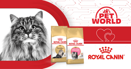 Breed-Specific Cat Nutrition: Exploring the Petworld & Royal Canin Collaboration - Petworld