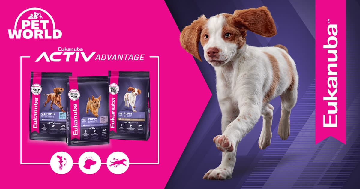 Eukanuba active sale advantage