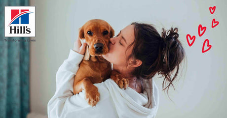 Show Your Love With Hill's Pet Nutrition - Petworld