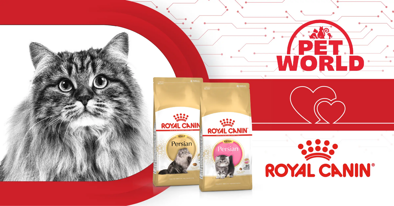 Petworld &amp; Royal Canin: Trailblazers in Feline Nutrition