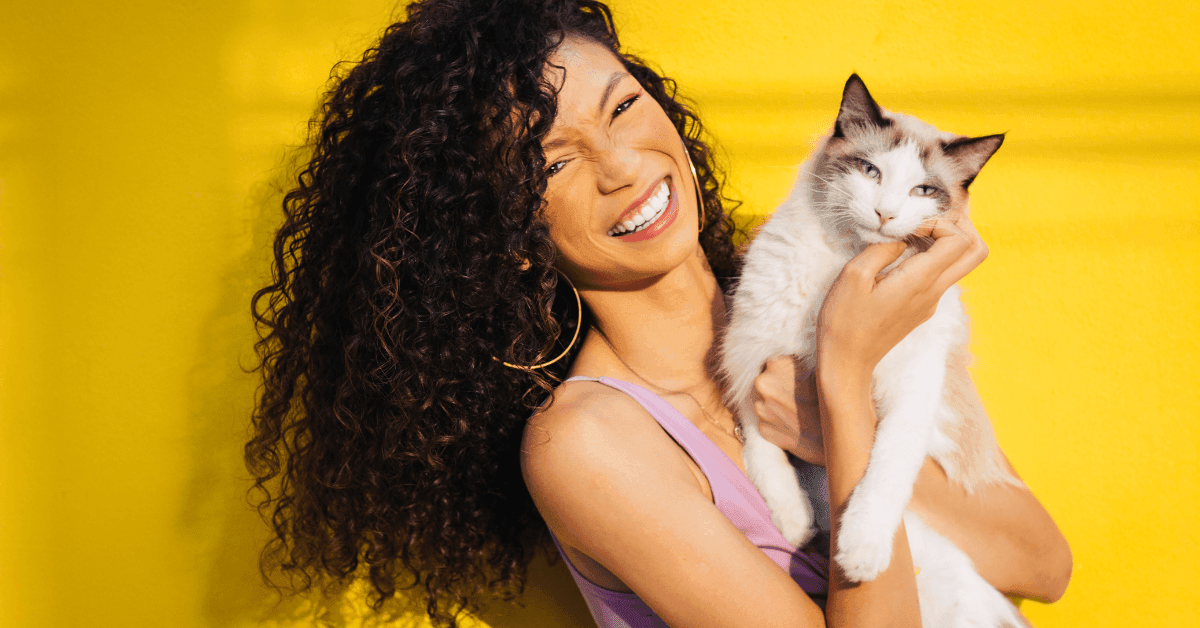 Being a Successful Cat Parent in South Africa: The Ultimate Guide - Petworld