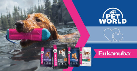 Petworld &amp; Eukanuba: Pioneering Pet Care for Health &amp; Happiness