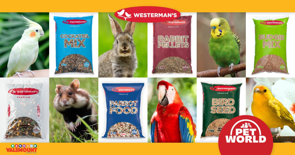 Westerman's &amp; Petworld: Charting New Heights in Avian Care