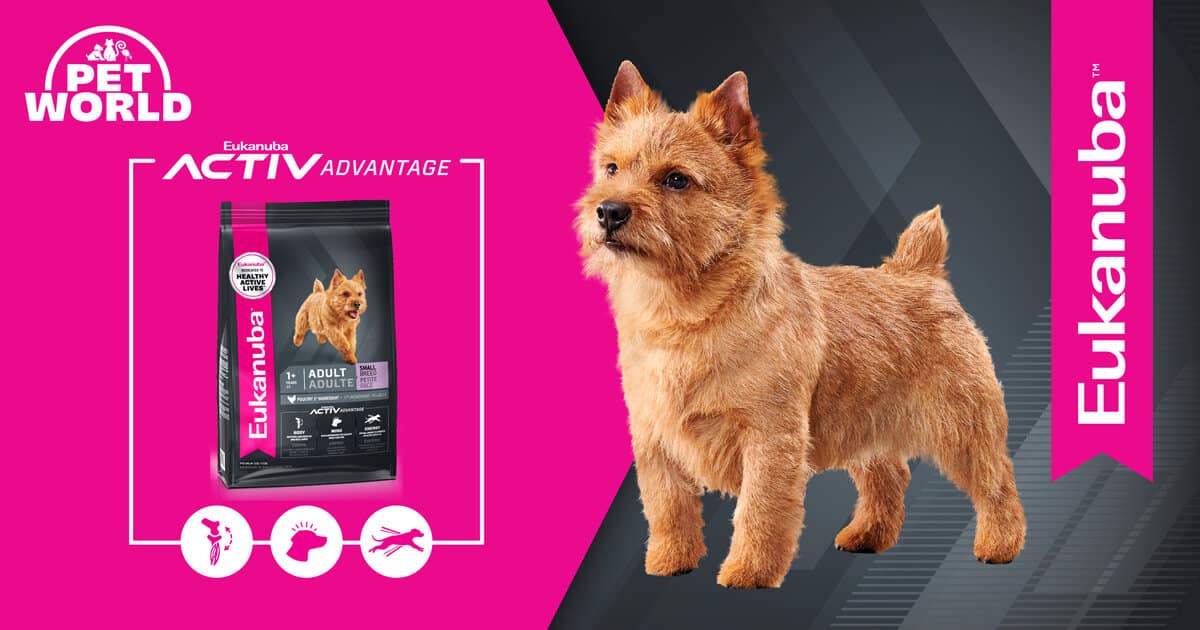 Unleash Your Small Doggo's Potential with Eukanuba Active Advantage Small Breed Dog Food