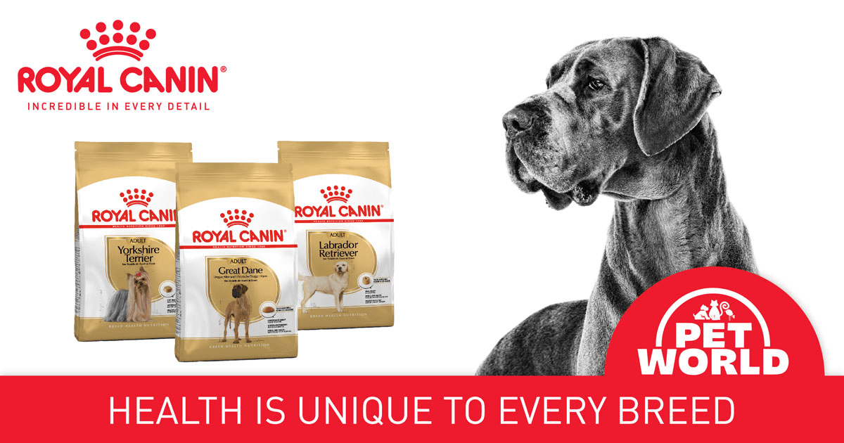 Breed Health Nutrition for Dogs: Petworld &amp; Royal Canin Lead the Way