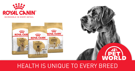 Breed Health Nutrition for Dogs: Petworld &amp; Royal Canin Lead the Way