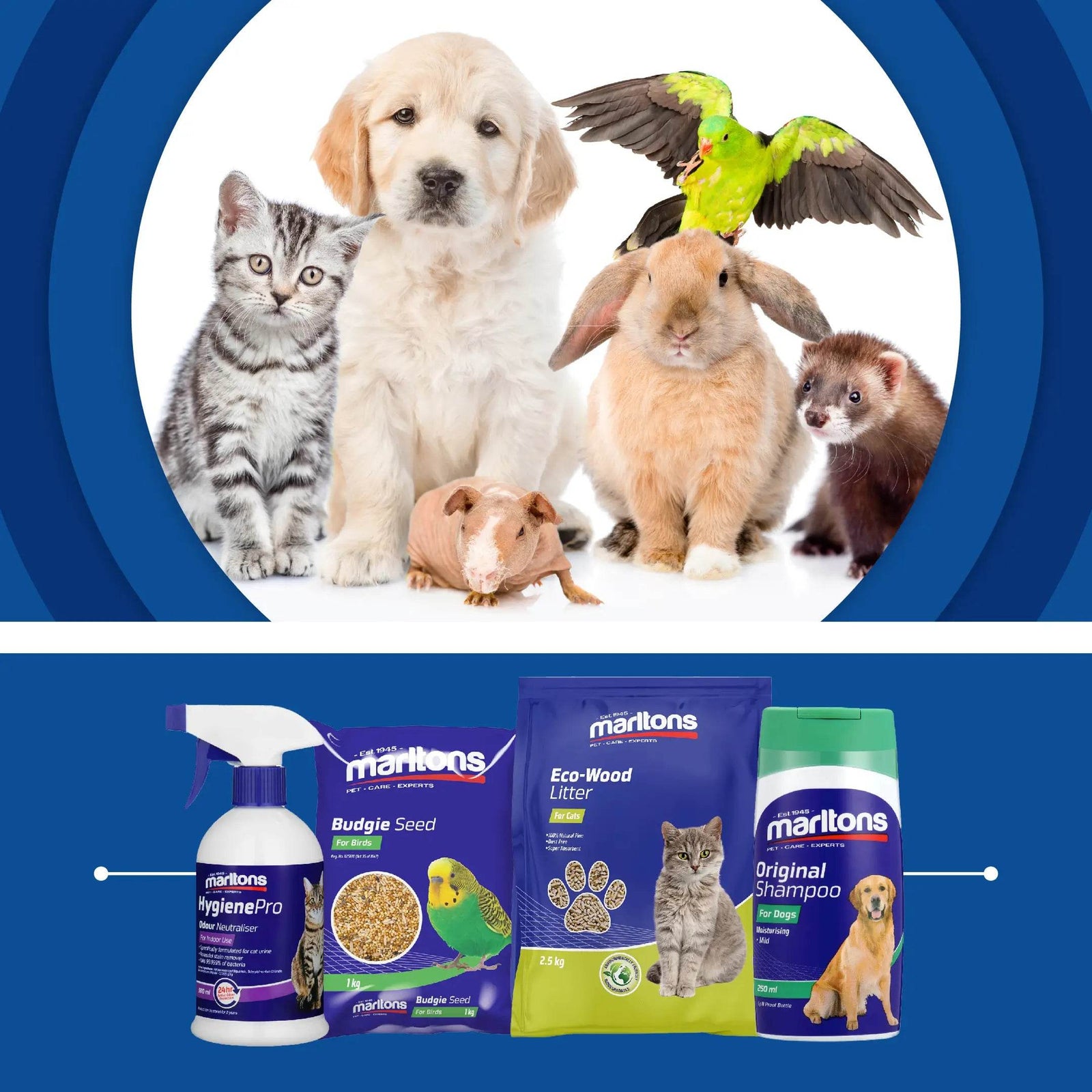 Petworld & Marltons Taking on the Future of Pet Care Together - Petworld