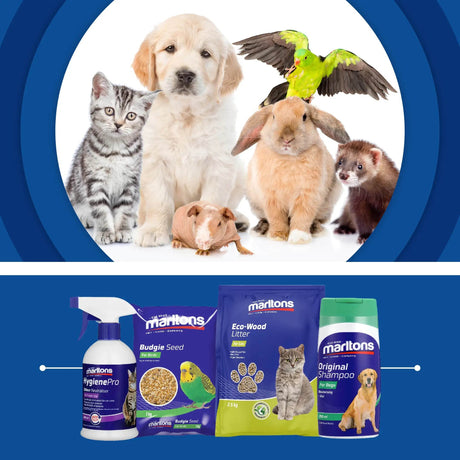 Petworld & Marltons Taking on the Future of Pet Care Together - Petworld