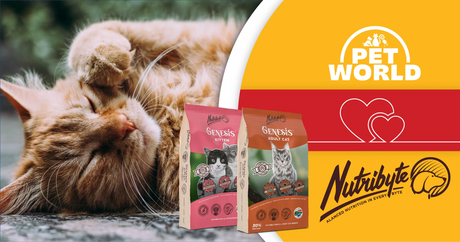 Petworld &amp; Nutribyte Unite – It’s a Cat’s World!