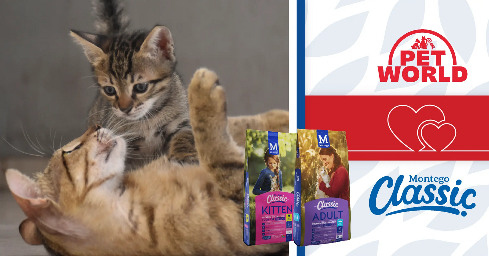 Montego kitten clearance food