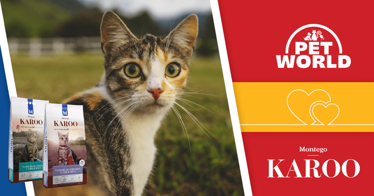 Montego Karoo Cat Food South Africa: The Ultimate Choice for Your Feline Friend