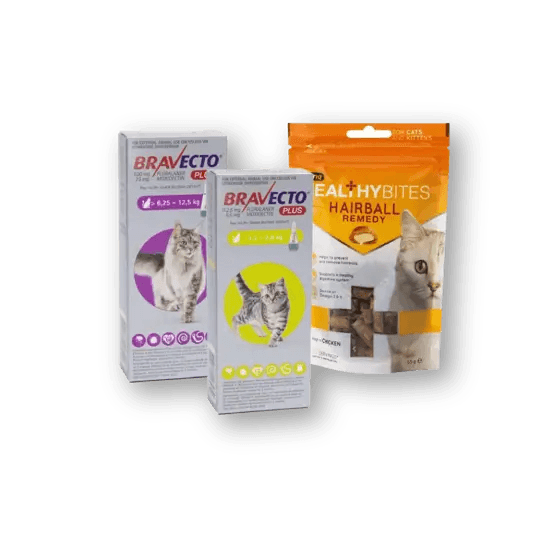 Cat Health Supplies: Top Brands, Low Prices | Petworld
