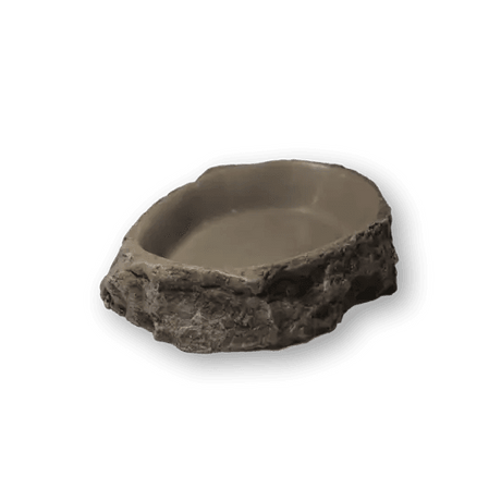 Reptile Dishes - Petworld