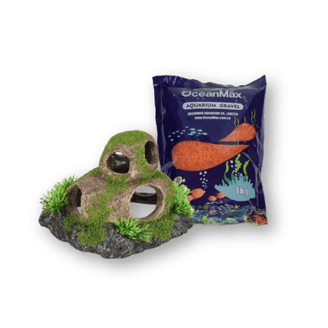 Tropical Fish Decor - Petworld