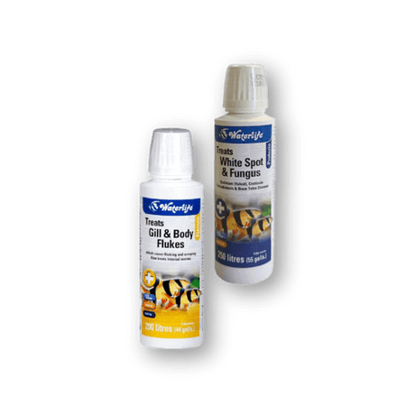 Tropical Fish Medication - Petworld