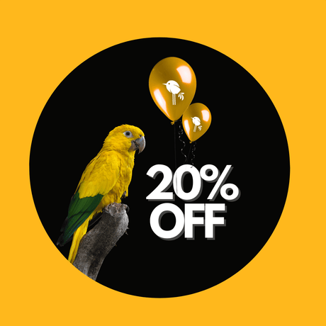 Cyber Monday 20% OFF 2025