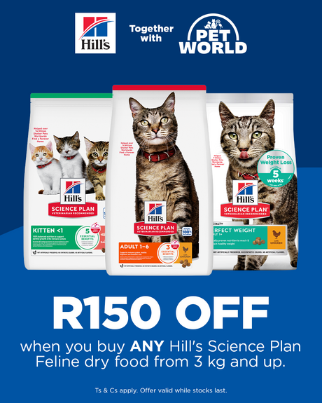 Hill's Feline