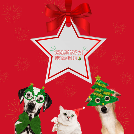 Cristmas at Petworld - Petworld