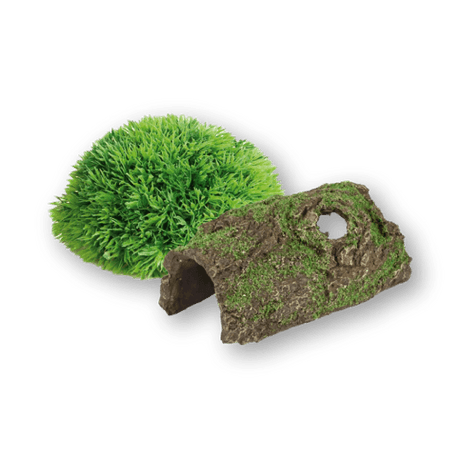 Tropical Fish Aquarium Decor - Petworld