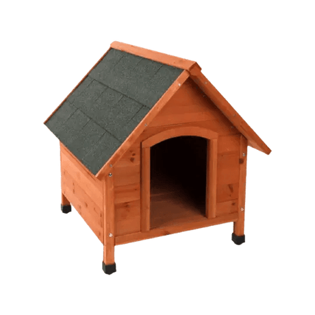 Dog Outdoors - Petworld