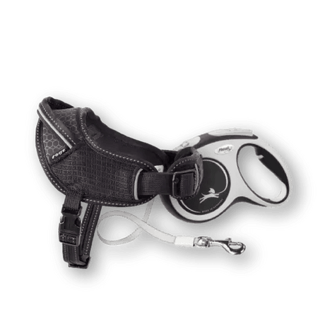 Dog Collars, Leads & Harnesses - Petworld