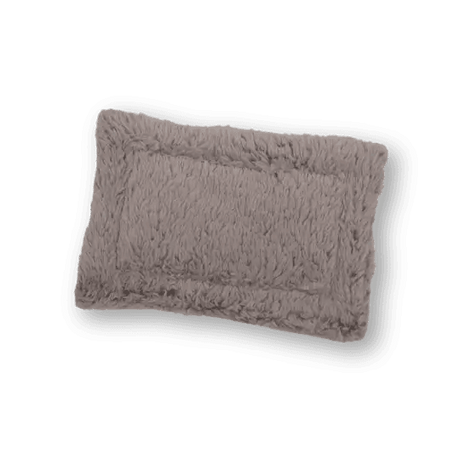 Cat Beds, Blankets & Housing - Petworld