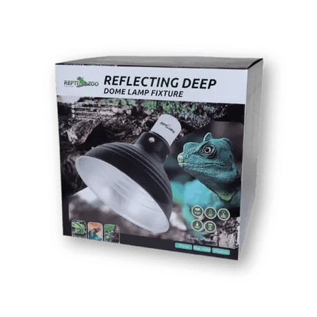 Reptile Lighting & Heating - Petworld