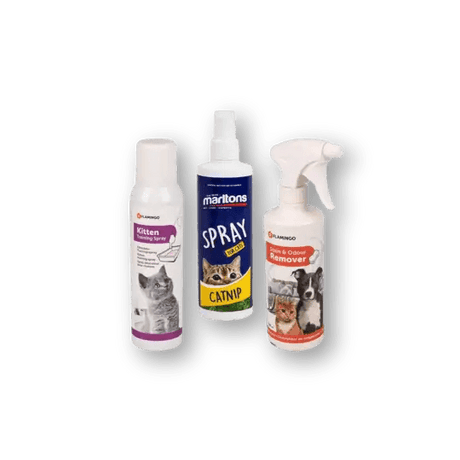 Cat Behaviour & Training - Petworld