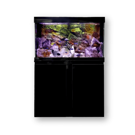 Marine Fish Aquariums - Petworld