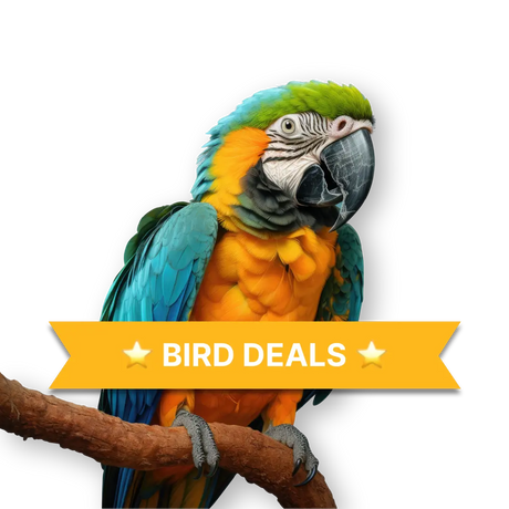 Bird Deals