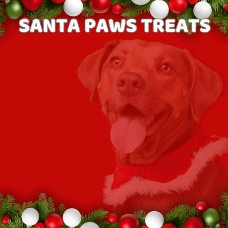 Petworld Specials - Petworld